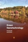 Dmitry Beilin, Oleg Figovsky - Green Nanotechnology