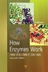 Haruo Suzuki - How Enzymes Work