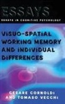 Cesare Cornoldi, Cornoldi Cesare, Tomaso Vecchi, Vecchi Tomaso - Visuo-spatial Working Memory and Individual Differences