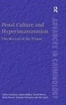 Eileen Baldry, Baldry Eileen, David Brown, Mark Brown, Chris Cunneen, Chris Baldry Cunneen... - Penal Culture and Hyperincarceration