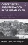 Eduardo Cesar Leao Marques, Eduardo Cesar Leão Marques - Opportunities and Deprivation in the Urban South