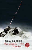 Thomas Glavinic - Das größere Wunder