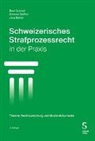 Jürg Bähler, Beat Schnell, Simone Steffen - Schweizerisches Strafprozessrecht in der Praxis