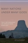 Todd Allin Mormon - Many Nations Under Many Gods
