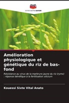 Kouessi Sixte Vital Anato - Amélioration physiologique et génétique du riz de bas-fond