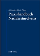 Dr. Plottek, Plottek, Pierre Plottek, Ulf Schönenberg-Wessel - Praxishandbuch Nachlassinsolvenz