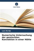 Lyes Bordja - Numerische Untersuchung der gemischten Konvektion in einer Höhle