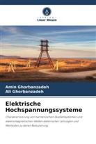 Ali Ghorbanzadeh, Amin Ghorbanzadeh - Elektrische Hochspannungssysteme
