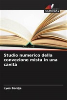 Lyes Bordja - Studio numerico della convezione mista in una cavità