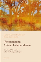 Teresa Castro, Paulo de Medeiros, Cláudia Pazos-Alonso, Maria Do Carmo Piçarra - (Re)imagining African Independence