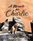 John J. Drew - A Miracle for Charlie
