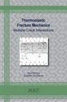 Vera Petrova, Siegfried Schmauder - Thermoelastic Fracture Mechanics