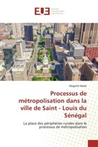 Magatte Wade - Processus de métropolisation dans la ville de Saint - Louis du Sénégal