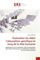 Soumia Mouna - Évaluation du débit l'absorption spécifique le long de la tête humaine