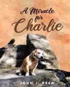 John J. Drew - A Miracle for Charlie