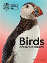 Jo Cooper, Joanne Cooper - Birds