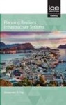 Alexander Hay - Planning Resilient Infrastructure Systems 2021