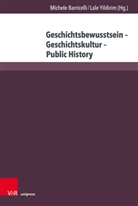 Juliane Brauer, Astrid Schwabe, Dario Treiber, Michele Barricelli, Yildirim, Lale Yildirim - Geschichtsbewusstsein - Geschichtskultur - Public History
