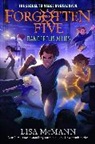 Lisa McMann - Dangerous Allies (The Forgotten Five, Book 4)