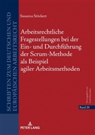 Susanna Stöckert, Frank Bayreuther - Arbeitsrechtliche Fragestellungen bei der Ein- und Durchführung der Scrum-Methode als Beispiel agiler Arbeitsmethoden