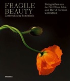 Lydia Caston, Duncan Forbes, Newell Harbin - Fragile Beauty - zerbrechliche Schönheit