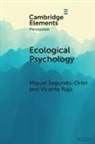 Vicente Raja, Miguel Segundo-Ortin, Miguel (Universidad De Murcia Segundo-Ortin - Ecological Psychology