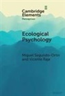 Vicente Raja, Miguel Segundo-Ortin, Miguel (Universidad De Murcia Segundo-Ortin - Ecological Psychology