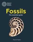 Paul D. Taylor - Fossils