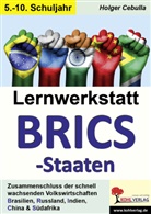 Holger Cebulla - Lernwerkstatt BRICS-Staaten