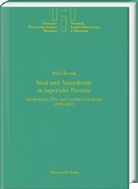 Milo¿ ¿Ezník, Milos Rezník - Staat und Aristokratie in imperialer Provinz. Ständewesen, Elite und Loyalität in Galizien (1795-1817)