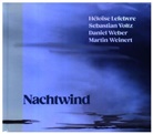 Martin Weinert - Nachtwind, 1 Audio-CD (Audiolibro)