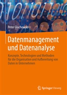 Peter Gluchowski - Datenmanagement und Datenanalyse
