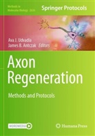 James B Antczak, James B. Antczak, B Antczak, Ava J Udvadia, Ava J Udvadia, Ava J. Udvadia - Axon Regeneration
