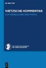 Andreas Urs Sommer, Heidelberger Akademie der Wissenschaften - Historischer und kritischer Kommentar zu Friedrich Nietzsches Werken - Band 5.2: Kommentar zu Nietzsches "Zur Genealogie der Moral"