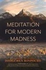 Dzogchen Rinpoche, Dzogchen Rinpoche - Meditation for Modern Madness