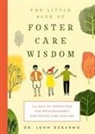 John Degarmo - The Little Book of Foster Care Wisdom