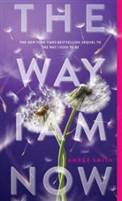 Amber Smith - The Way I Am Now