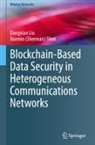 Dongxiao Liu, Xuemin (Sherman) Shen - Blockchain-Based Data Security in Heterogeneous Communications Networks