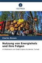Charles Benam - Nutzung von Energieholz und ihre Folgen