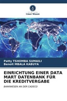 Benoît Mbala Kabuya, Patty Tshomba Sumaïli - EINRICHTUNG EINER DATA MART DATENBANK FÜR DIE KREDITVERGABE