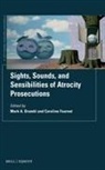 Mark A Drumbl - Sights, Sounds, and Sensibilities of Atrocity Prosecutions
