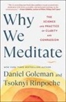 Daniel Goleman, Daniel Goleman, Tsoknyi Rinpoche, Tsoknyi Rinpoche - Why We Meditate