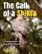 Amir Salehi - The Call of a Shikra
