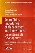 Dagmar Cagá¿ová, Dagmar Cagánová, Michal Cehlár, Natália Hor¿áková, Natália Hornáková - Smart Cities: Importance of Management and Innovations for Sustainable Development