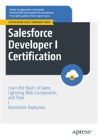 Konstantin Kapitanov - Salesforce Developer I Certification