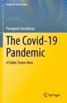 Panagiotis Karadimas - The Covid-19 Pandemic