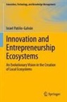 Israel Patiño-Galván - Innovation and Entrepreneurship Ecosystems