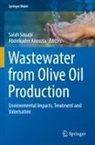 Anouzla, Abdelkader Anouzla, Salah Souabi - Wastewater from Olive Oil Production
