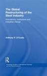 Anthony D'Costa - The Global Restructuring of the Steel Industry