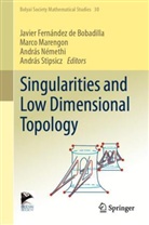 Javier Fernández de Bobadilla, Javier Fernández de Bobadilla, Marco Marengon, Mar Marengon et al, András Némethi, András Némethi et al... - Singularities and Low Dimensional Topology